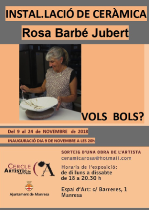 Cartell exposició Rosa Barbé